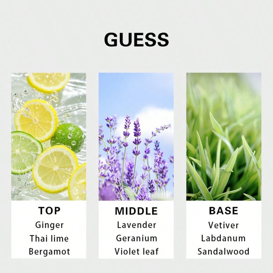 Guess Forever men Eau De Toile - Perfume Fragrances recensie en prijs
