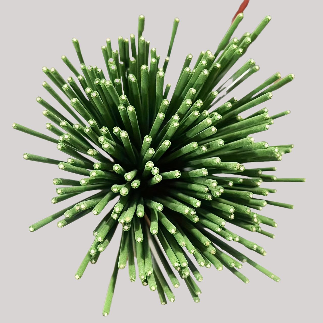 Riet Diffuser Sticks Citroengr - Perfume Fragrance Stick recensie en prijs